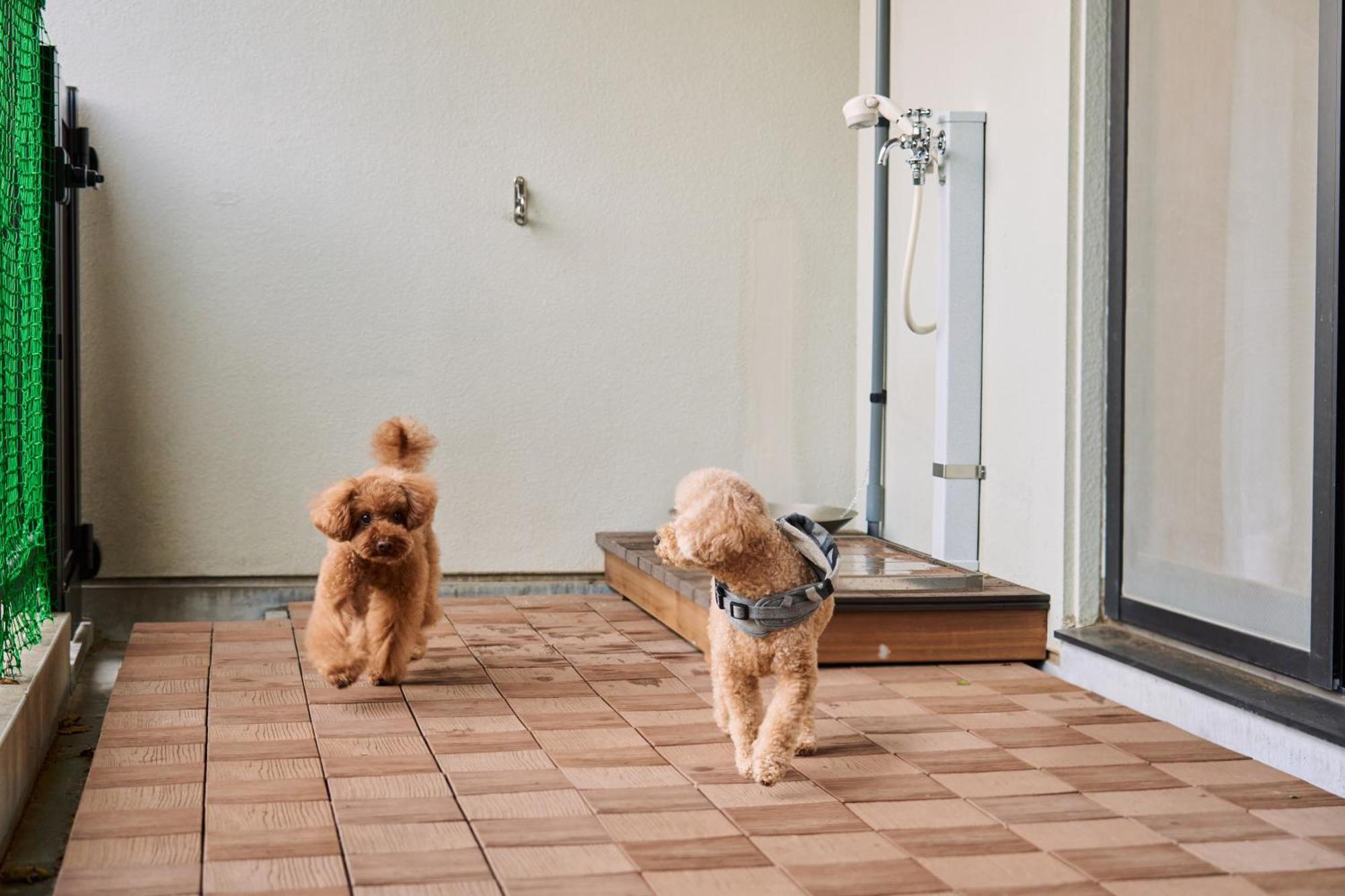Suite Villa Hakone Gora Dış mekan fotoğraf